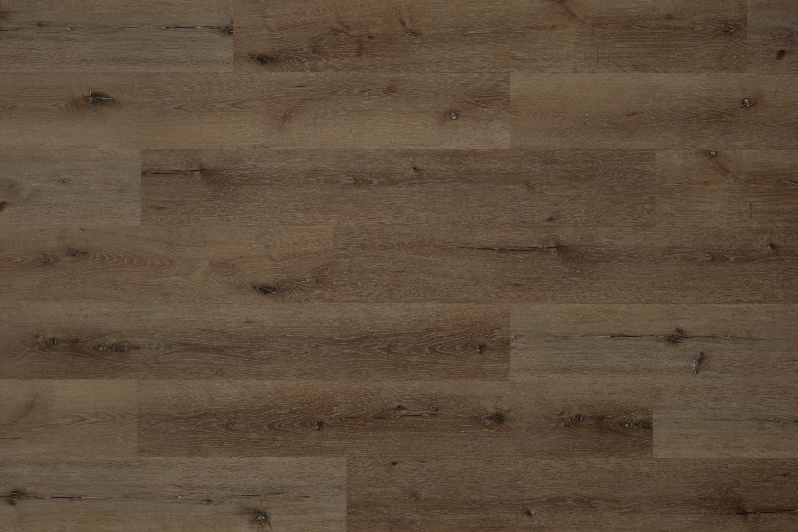 HighlandOak_0e8c8c13-741d-416b-a478-184f9d1fd104