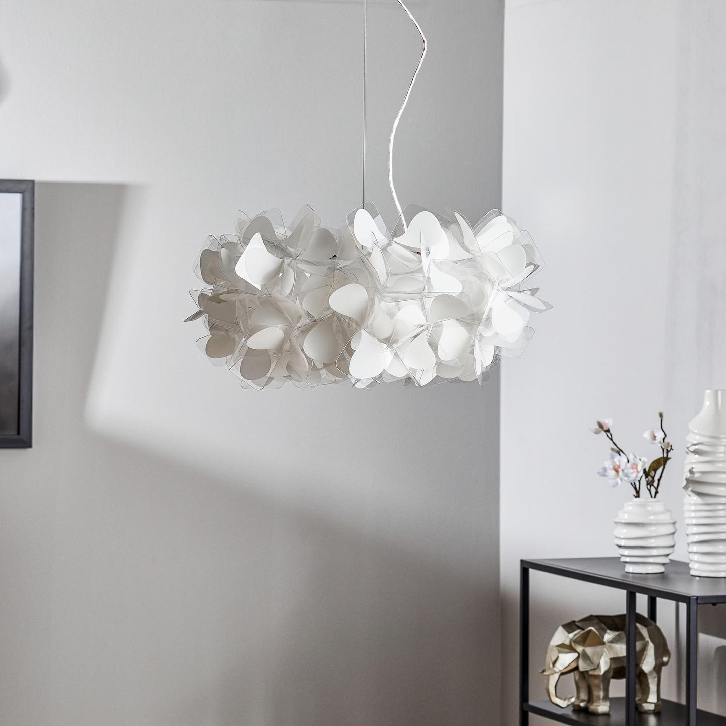 photo_2023-06-15_10-11-04