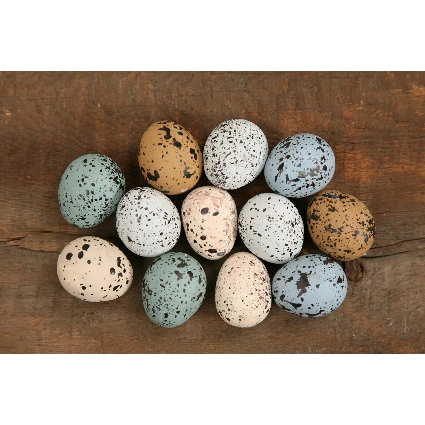 5hFarmhouse-country-Easter-Spring-speckled-colored-eggs-15-12-pc-set