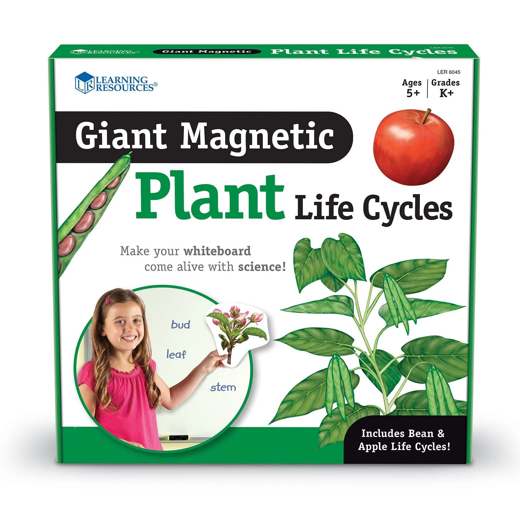 5iGiant-Magnetic-Plant-Life-Cycle-Set-of-12_1