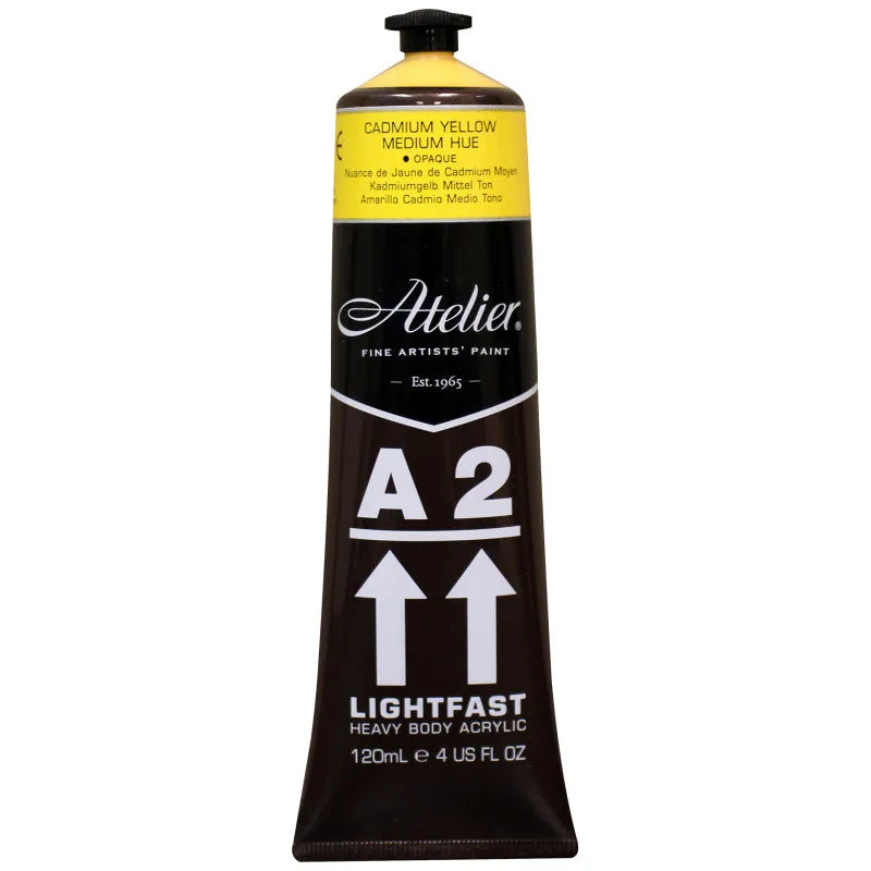 6sA2-Heavy-Body-Lightfast-Artist-Acrylic-4-oz-Cadmium-Yellow-Medium-Hue